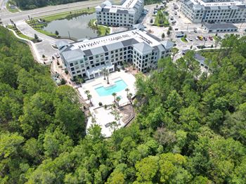 Longleaf at St. Johns Apartments | Resort Style Pool